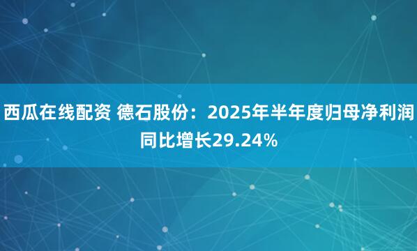 西瓜在线配资 德石股份:2025年半年度归母净利润同比增长29.24%