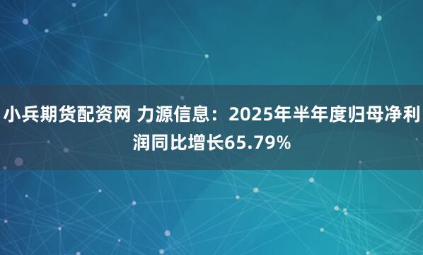 小兵期货配资网 力源信息：2025年半年度归母净利润同比增长65.79%